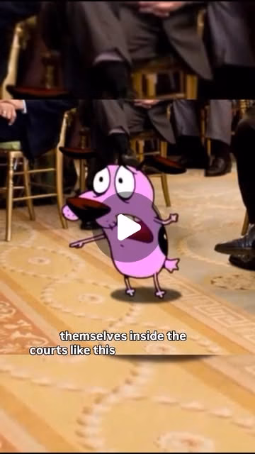 Look at my lawyer dawg (animalwrites.in)