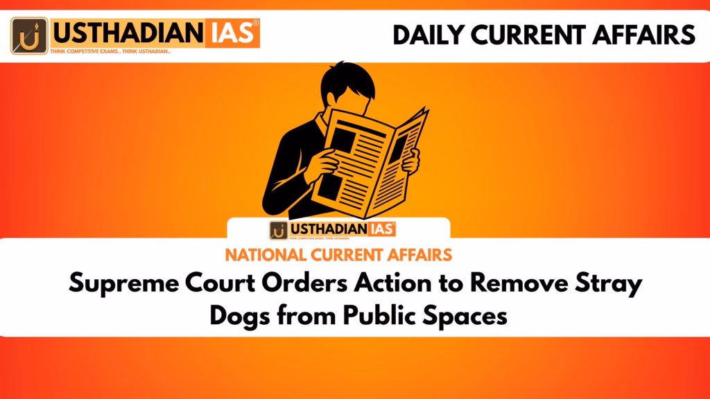 Supreme Court orders action to remove stray dogs from public spaces