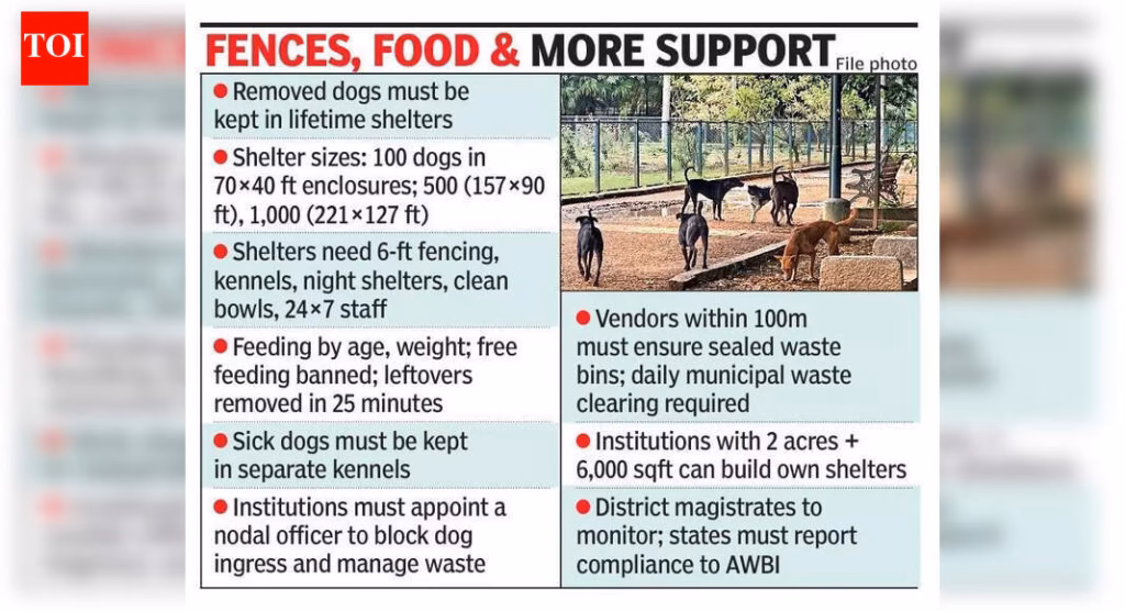 Care mandate kicks in: Lifetime shelter, food, vax for captured stray dogs