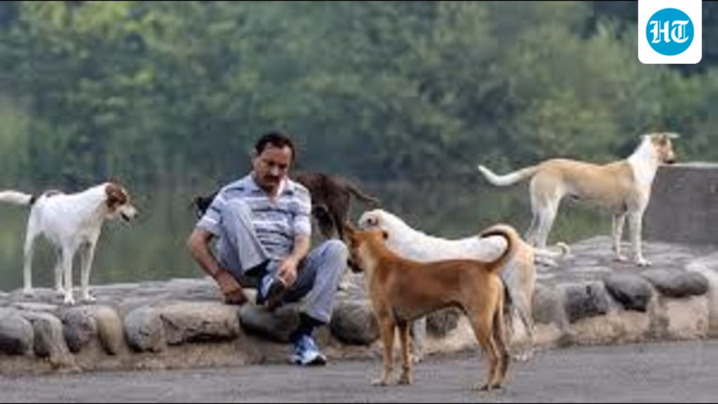 Following SC order, Chandigarh MC initiates steps for stray dog management, welfare