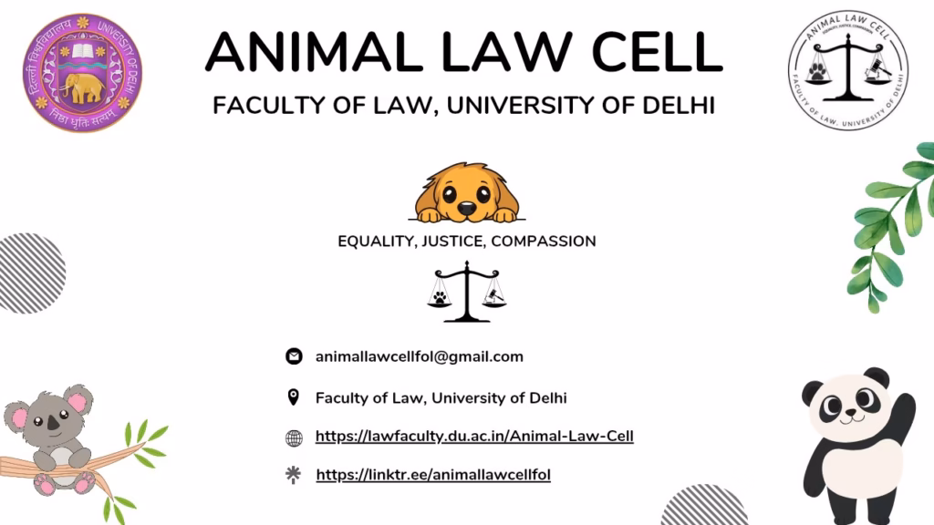 DU Law’s Animal Law Cell submits before Supreme Court on stray dog relocation, urges implementation of ABC rules