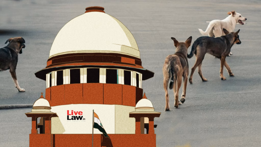 Stray dogs case: PETA, animal welfare groups urge Supreme Court to permit release of dogs at place of capture