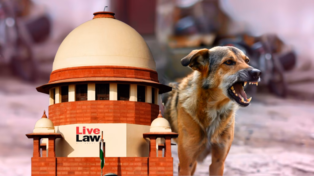 Will hold authorities & dog feeders liable for every stray dog attack, says Supreme Court