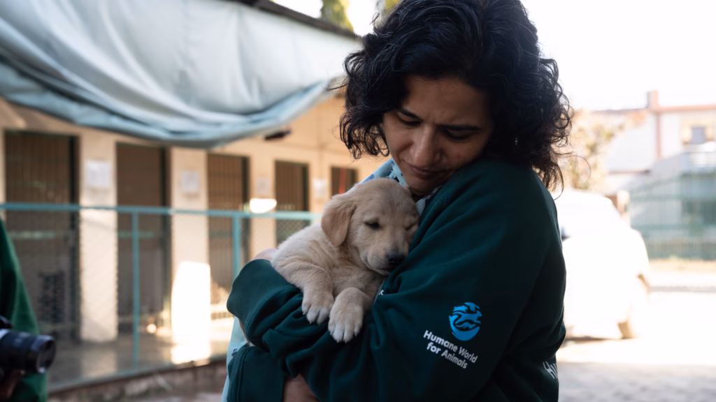 Mars Impact Fund launches in India with Humane World for Animals as part of global grant to advance science led dog population management