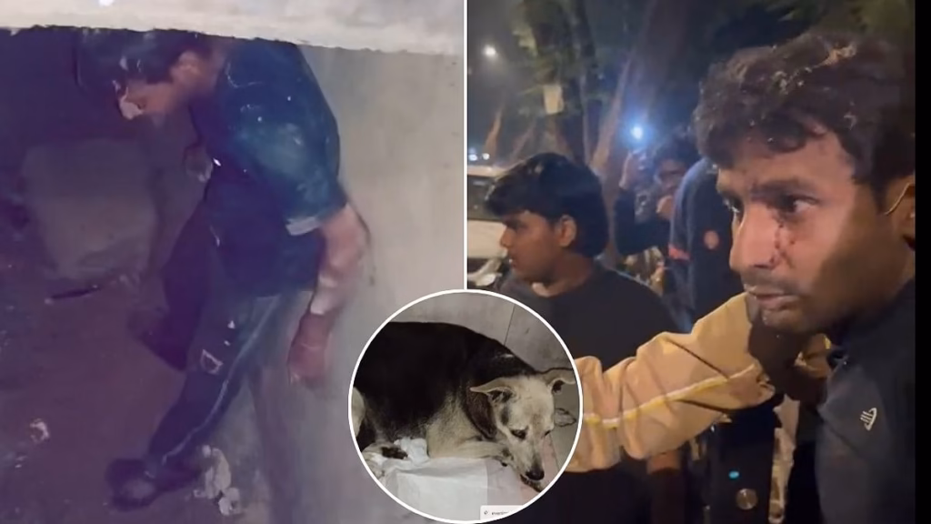 Mumbai shocker: 40 year old booked for allegedly raping female stray dog in Kandivali; locals nab accused from