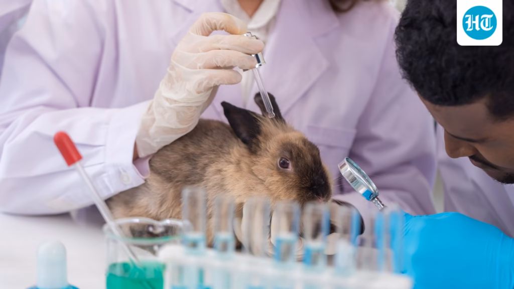 Why India must champion animal free drug testing
