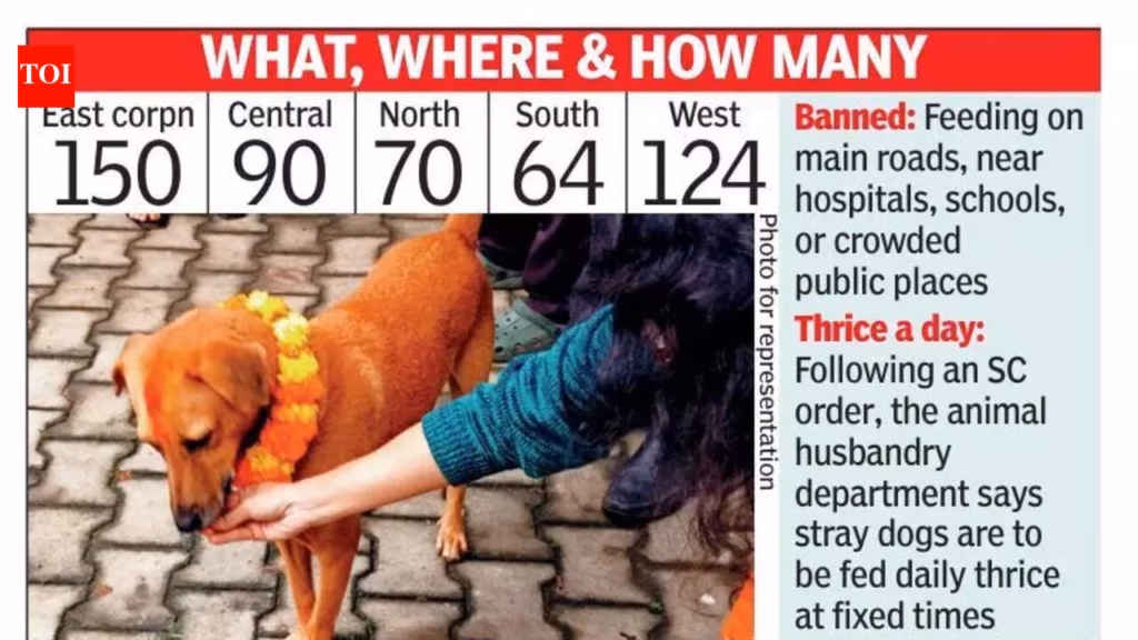 Almost 500 spots identified to feed stray dogs in Bengaluru
