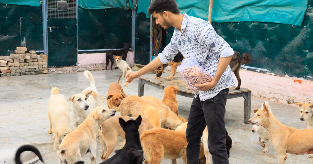 Help fund a CBC machine for Aashiyana Animal Rescue Shelter in Delhi