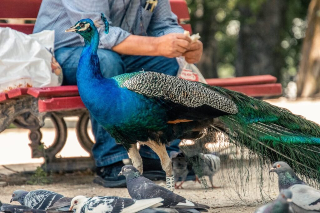 WII conducts 10th Wildlife Conservation Course for Enthusiasts