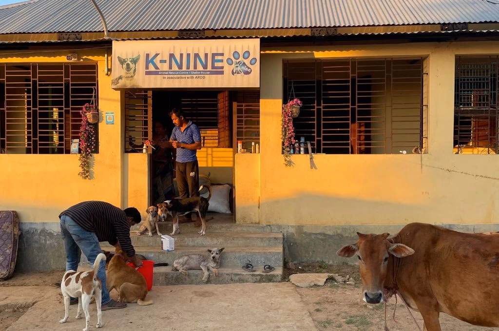 The perennial neglect of animal welfare nonprofits in Tripura