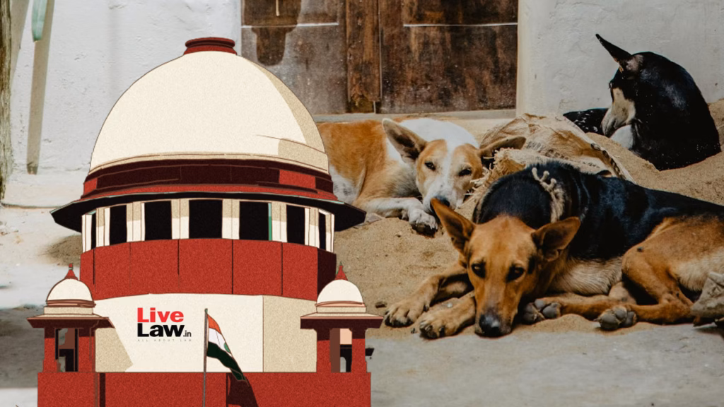 ‘Dog bite menace rising’ : Supreme Court refuses to modify directions to remove stray dogs from public places