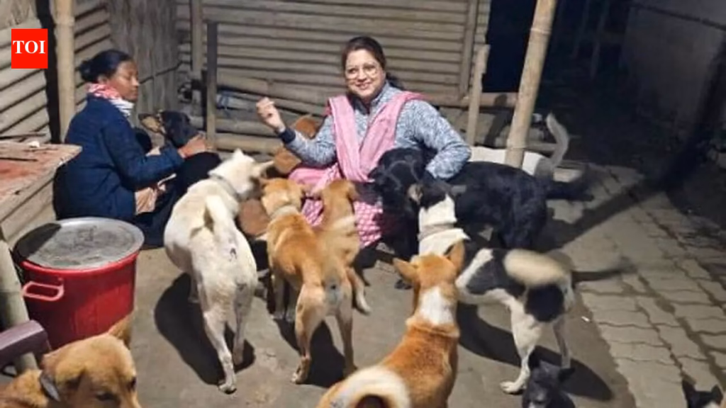 From academia to animal welfare: How Assam’s Prapti Foundation emerged as a force against dog trafficking