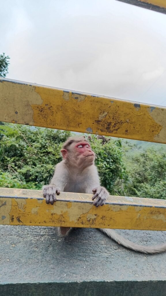 Resources 54 Spatio-temporal patterns of human-wildlife conflict in North Wayanad Forest Division, India