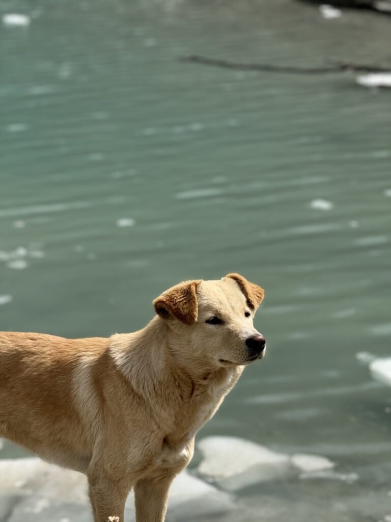 Resources 43 Advancing Rabies Control in India: The Crucial Role of QC in Vaccine Provision and Public Health Initiatives