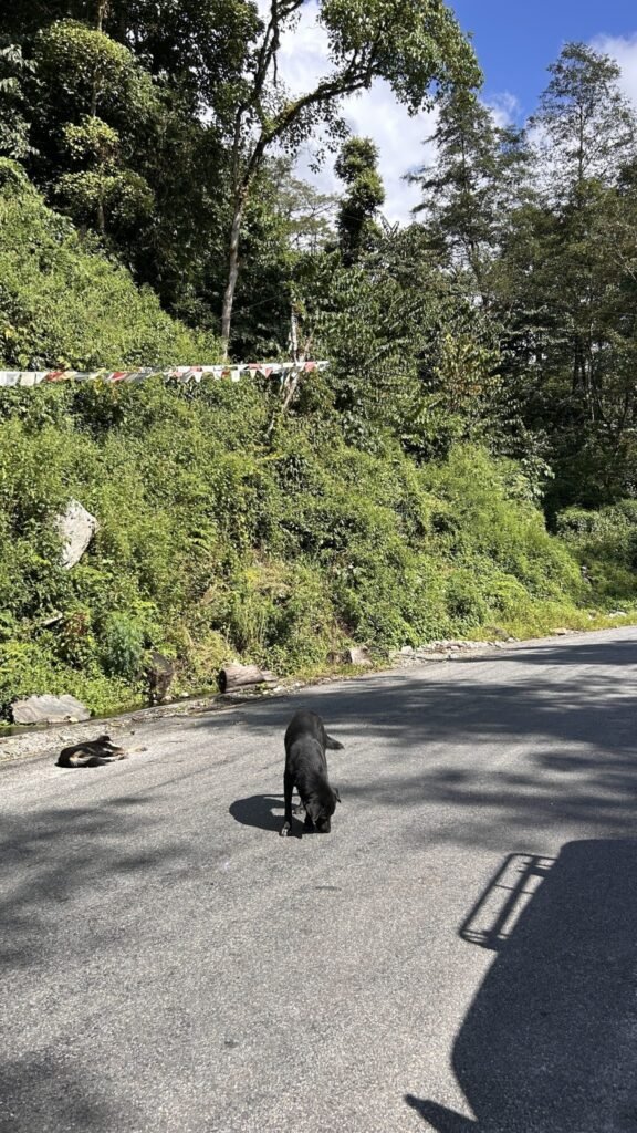 Resources 47 Strengthening animal rabies surveillance through a public-private One Health collaboration: Insights from a field veterinarian workshop in Assam, India.