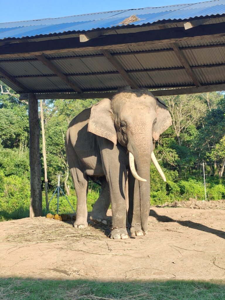 Resources 65 Integrating Ecological Modelling and Local Knowledge to Understand Elephant Occurrence and Human-Elephant Interactions in the Southern Western Ghats.