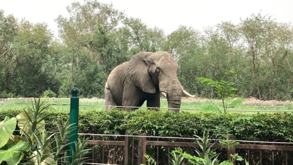 Resources 53 Land-use change and human-elephant conflict in Sumatran Elephant Conservation
