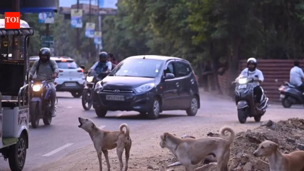 Sonipat civic body orders probe into dog sterilisation drive