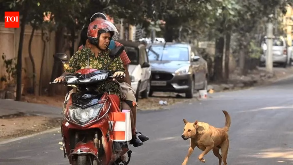 Stray dog bites in Nagpur top 44,000 in five years, eight rabies deaths: Govt