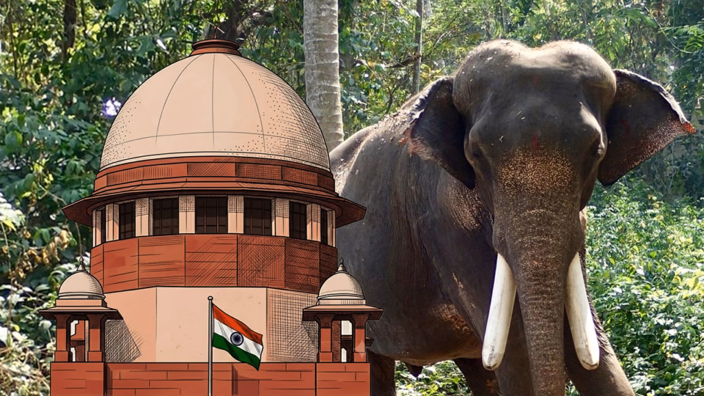 2026 LiveLaw (SC) 867 | WILDLIFE RESCUE AND REHABILITATION CENTRE AND ORS. v. UNION OF INDIA AND ORS.
