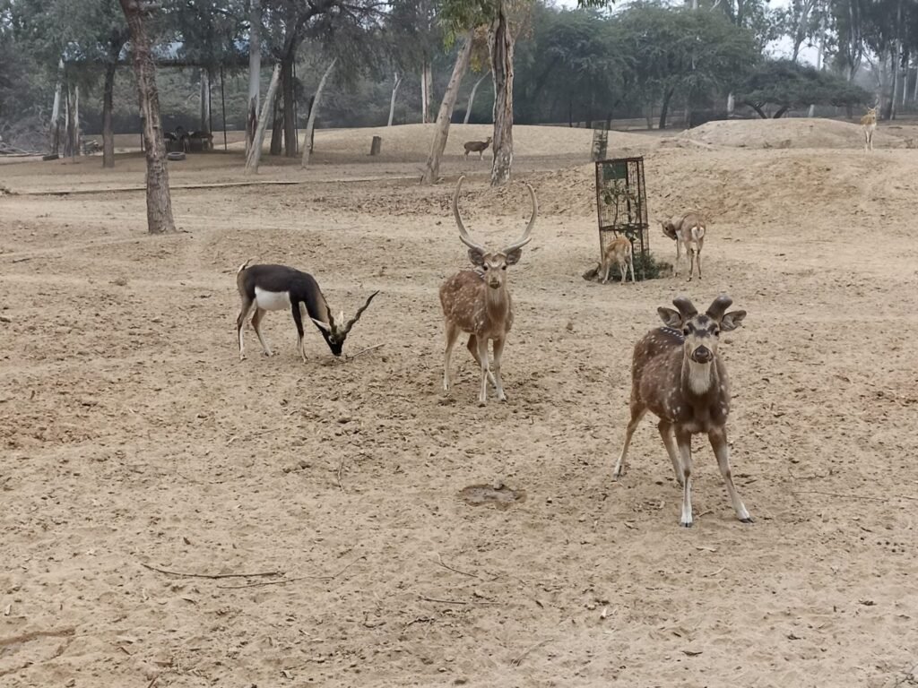 Human–Wildlife Conflict and Ease of Living: Administrative Efficiency and Grievance Redressal in Environmentally Sensitive Districts in Kerala