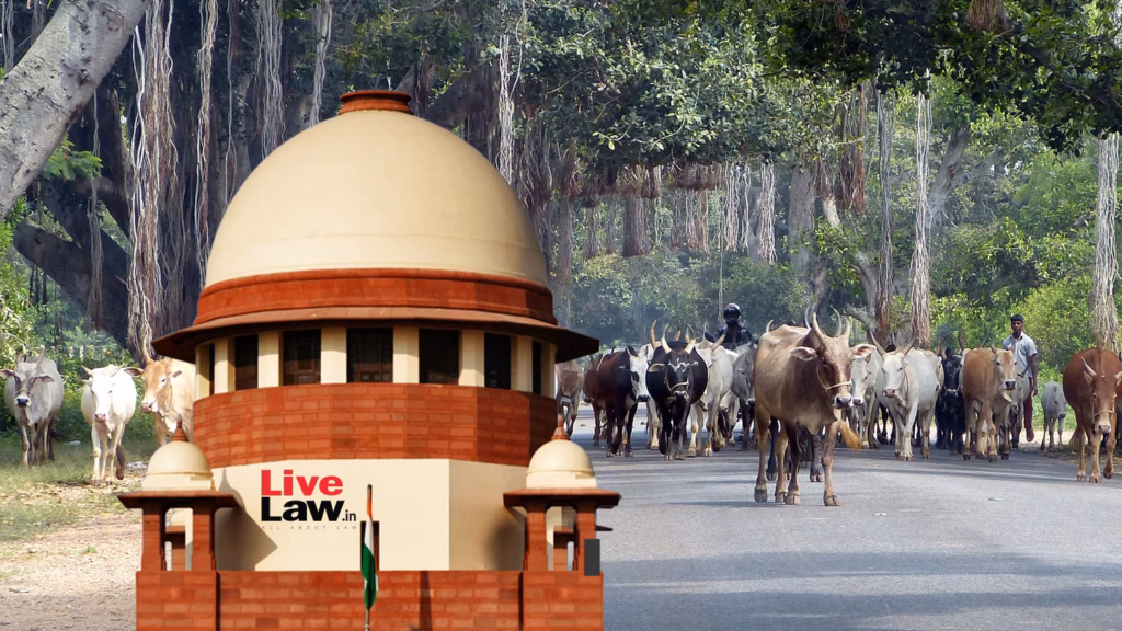 People abandon cattle on roads, but feel offended if they are used for food : Supreme Court
