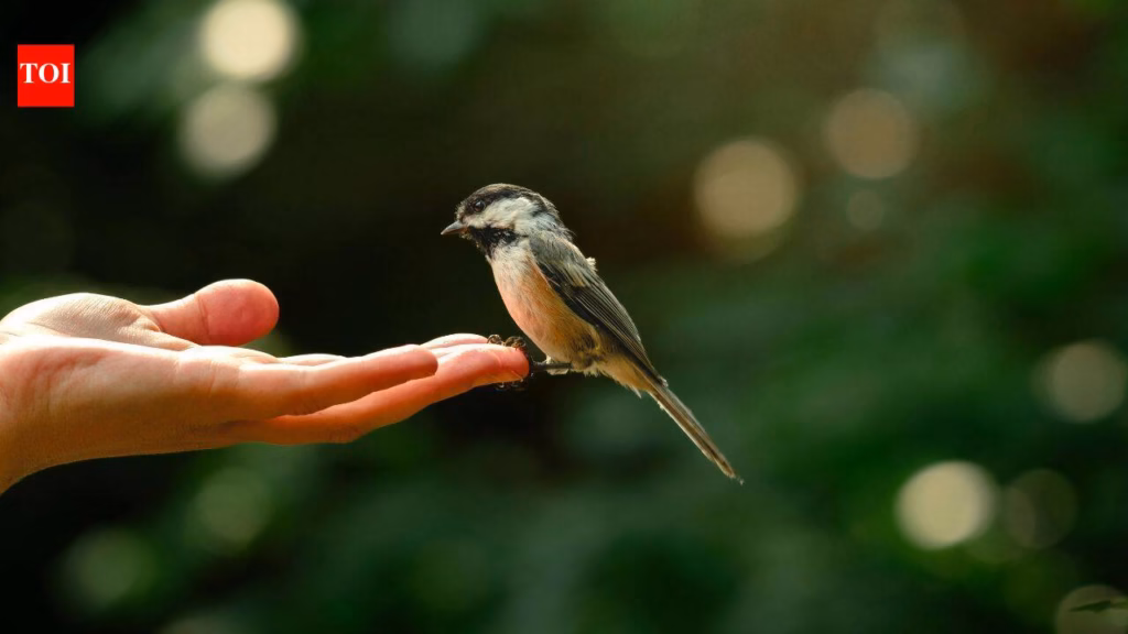 Ashoka’s complex relationship with animal welfare
