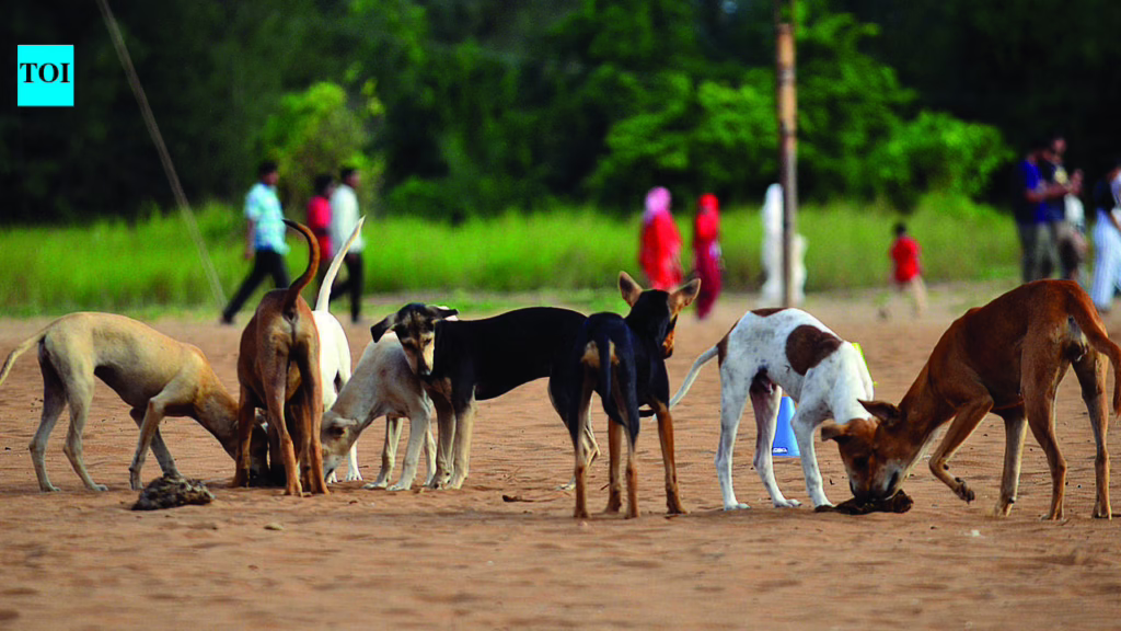 Goa halves ABC funds despite rise in dog sterilisation