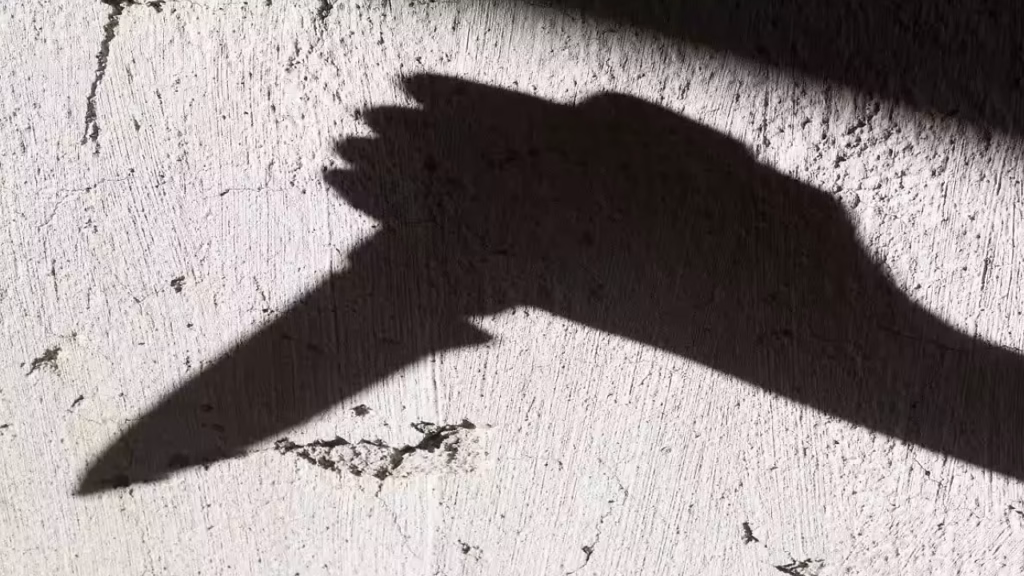 Mutilated, maimed, disfigured Mumbai panics as 6 brutally killed cats are found in just 2 days