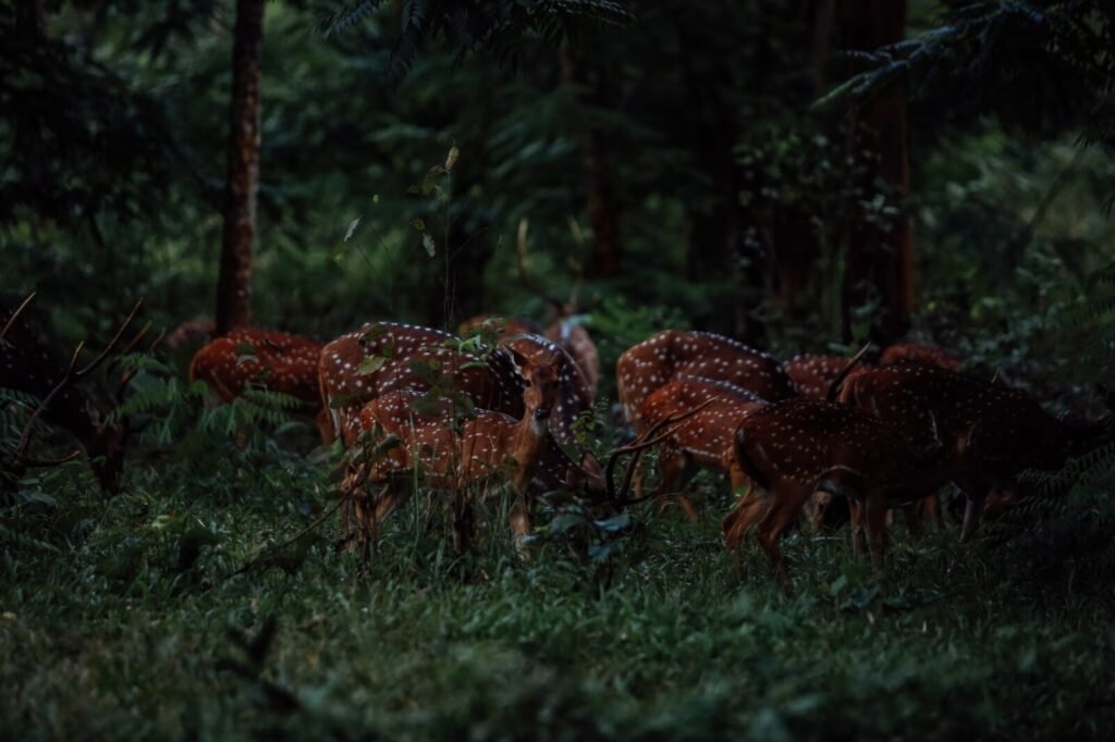 Read all Latest Updates on and about Tamil Nadu Forest And Wildlife Crime Control Bureau