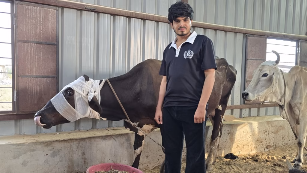 Ronak Choudhary: From popular creator to advocate of gau seva and animal welfare in Rajasthan