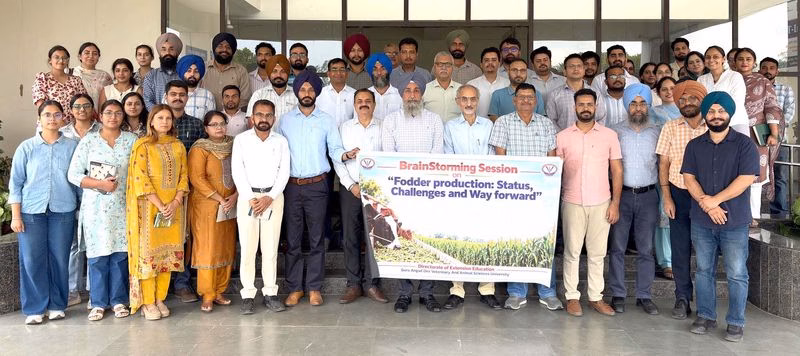 86 attend brainstorming session on fodder production at vet varsity in Ludhiana