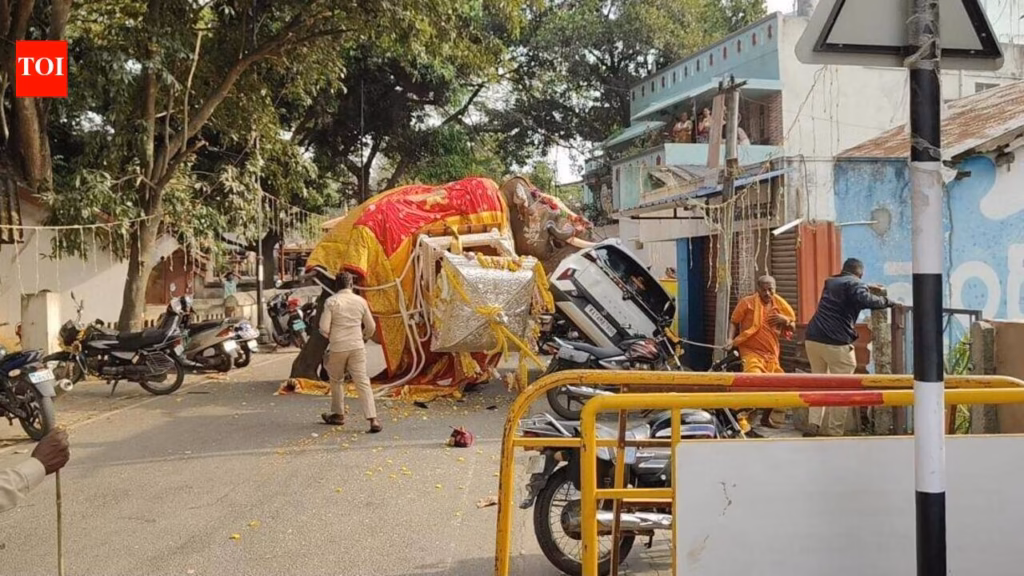 Activist urges govt to ban elephants at Dasara events