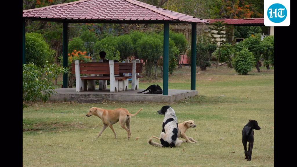 Anti rabies vaccine unavailable at 126 govt hospitals, RIG at 375