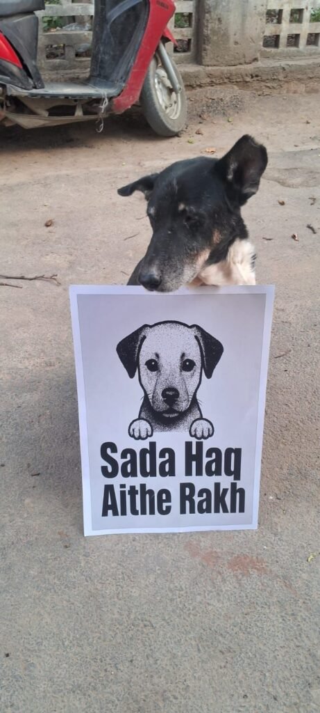 A dog sits behind a sign reading Sada Haq Aithe Rakh.