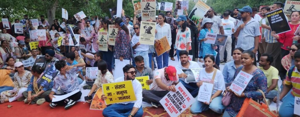 Community members writing letters to Supreme Court advocating for street dogs