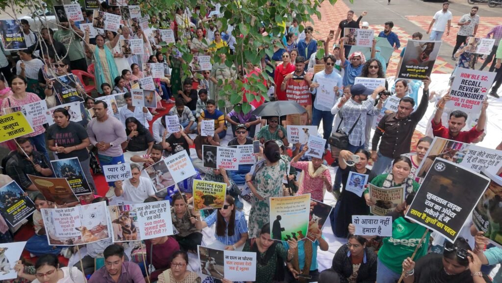 Volunteers at Animal Writes movement supporting animal welfare in India