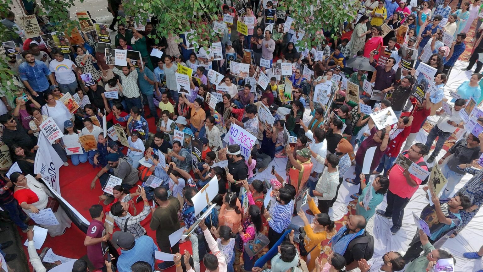 A large crowd seated with placards at the day of action.