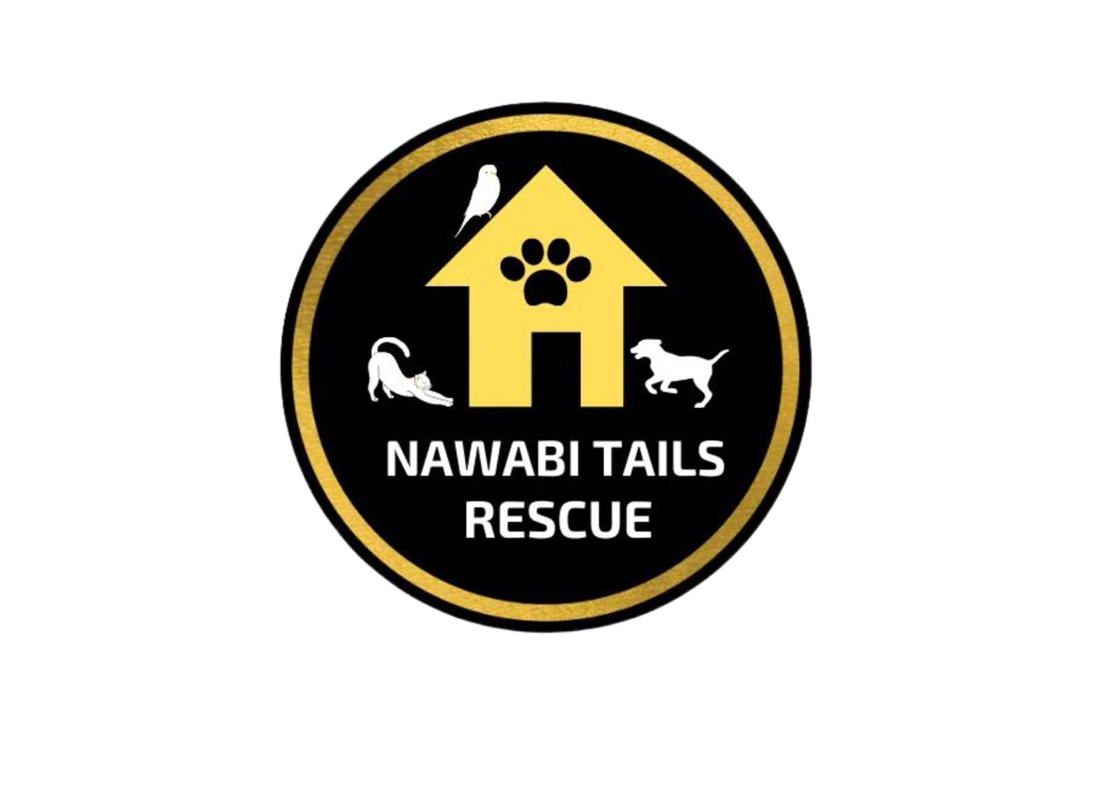 Nawabi Tails Rescue