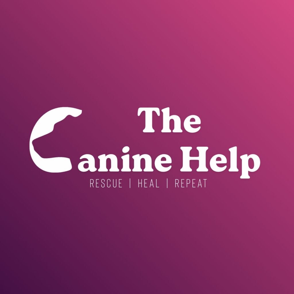 Animal compassion advocate supporting Animal Writes