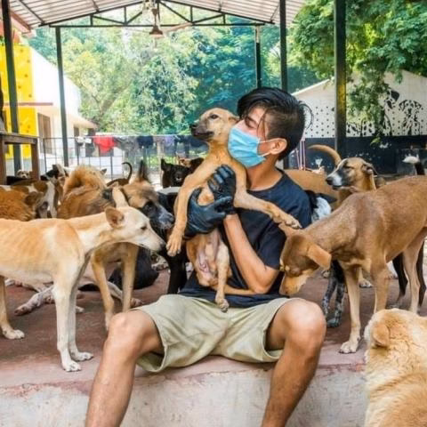 Besant Memorial Animal Dispensary
