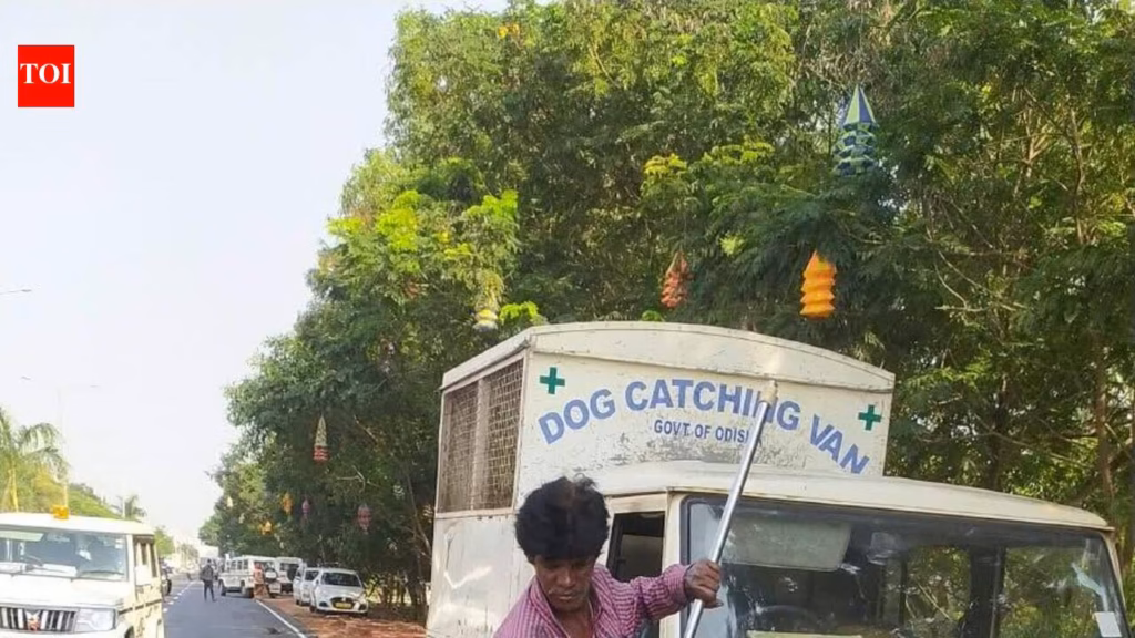 BMC’s spl drive to clear out stray animals from PM’s route
