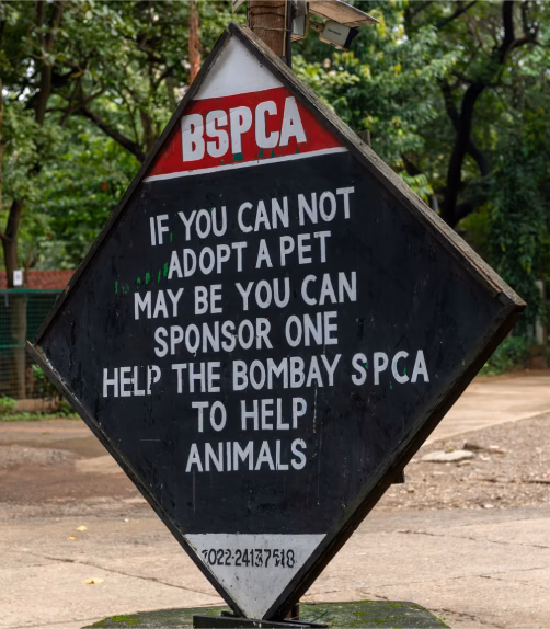 Bombay Society For Prevention Of Cruelty To Animals