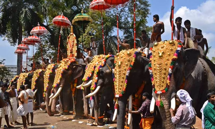 Captive Elephant Rules | Govt Or HC Can’t Extend Timeline Set By Supreme Court For Temples To Register :…