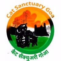 Cat sanctuary