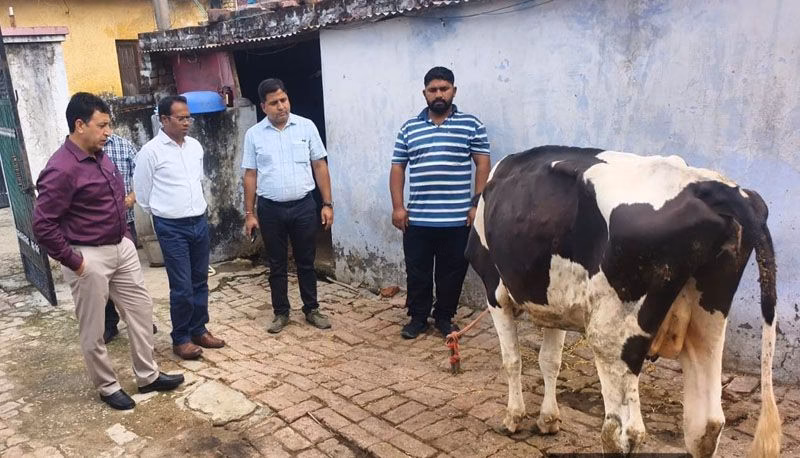Central team reviews Lumpy Skin Disease situation in J&K