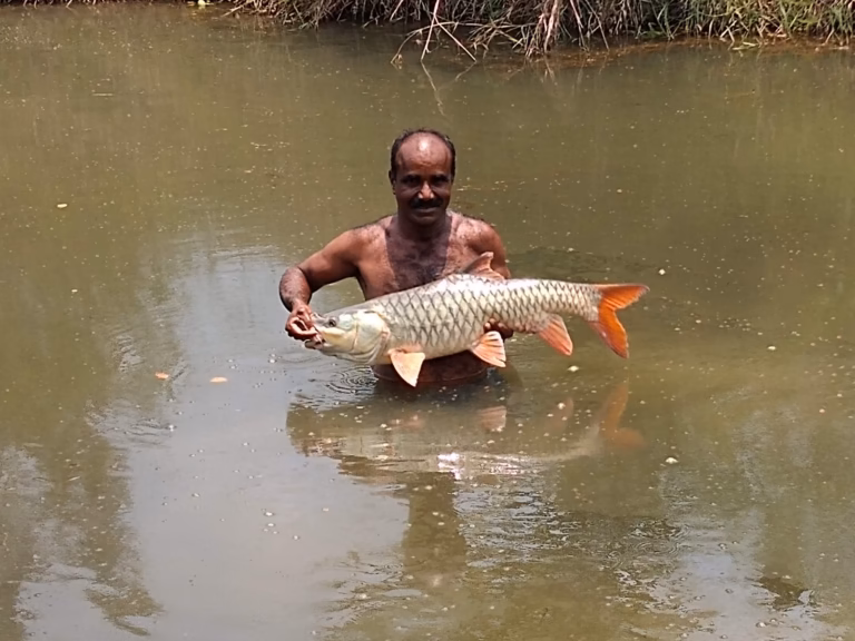 Coorg Wildlife Society