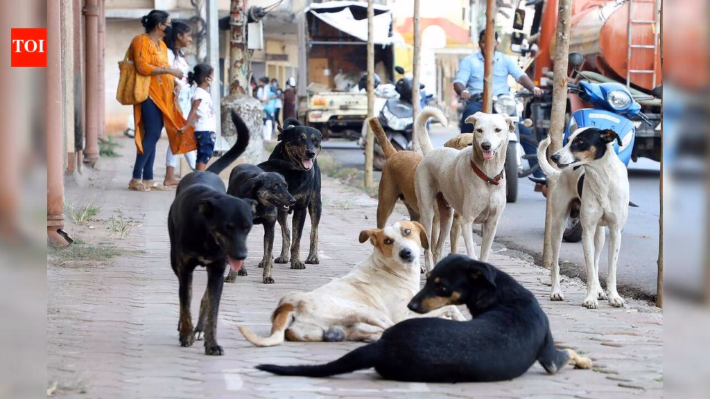 Corp to challenge stop memo against dog shelter in Kuttichal