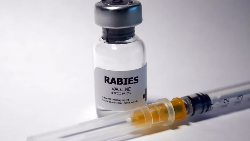 Delhi’s MCD to buy 98,500 anti rabies vaccine vials: Big boost for dog bite treatment in city hospitals