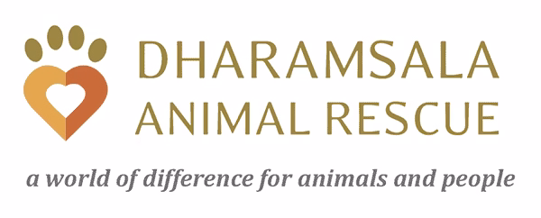 Dharamsala animal rescue trust